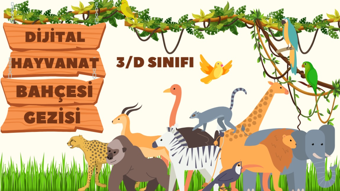 3/D Sınıfı Öğrencilerimizin Dijital Hayvanat Bahçesi Gezisi